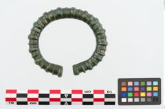 Foto von Bronzearmreif (NHMW-PRAE-024919)